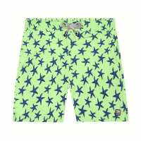 Read Tom & Teddy USA & Canada Reviews